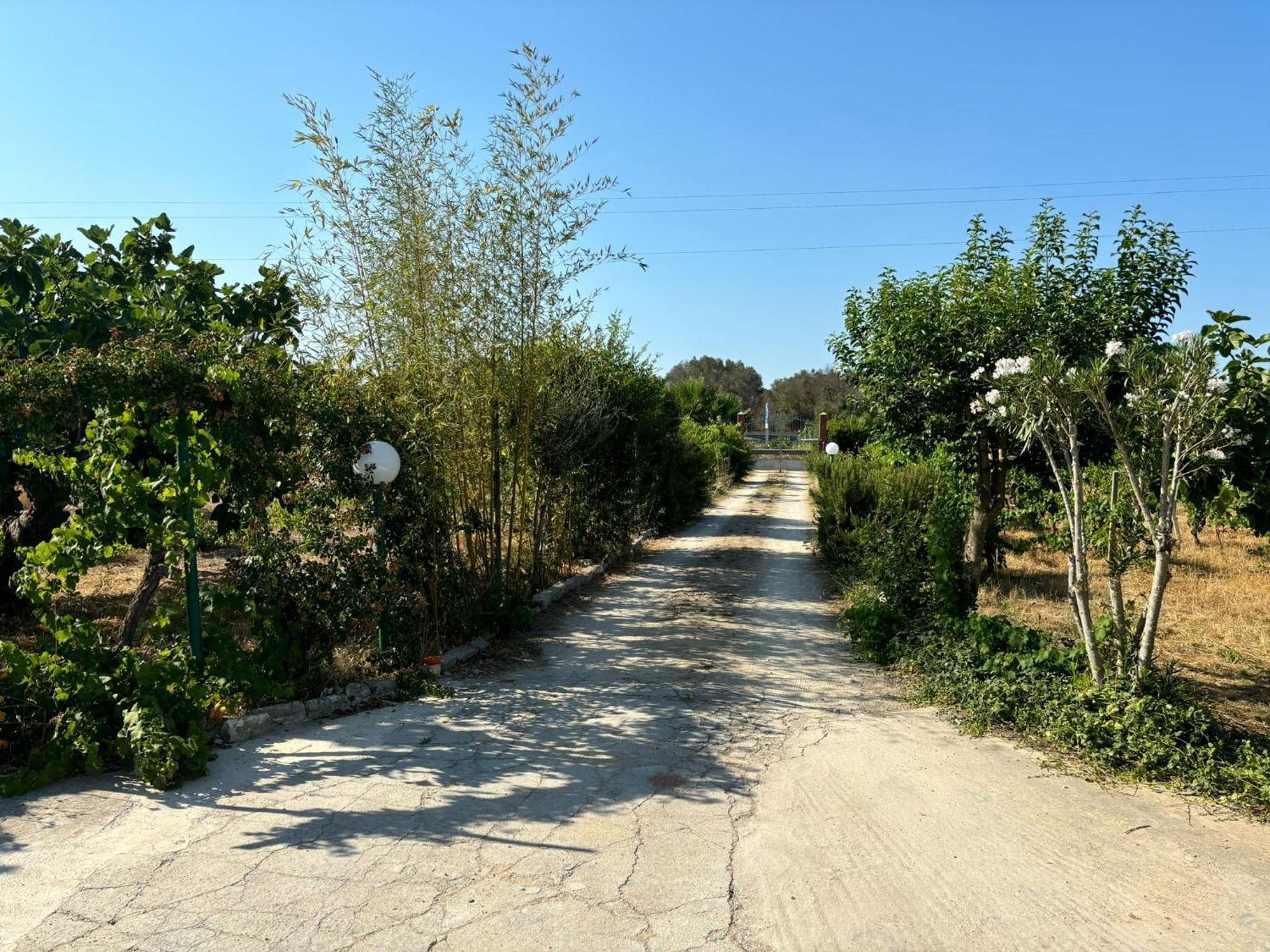 Latiano Casa Domitia 빌라 외부 사진